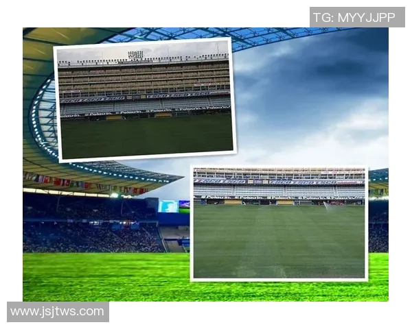 金姓足球明星的辉煌历程与成就探秘他们如何在绿茵场上书写传奇