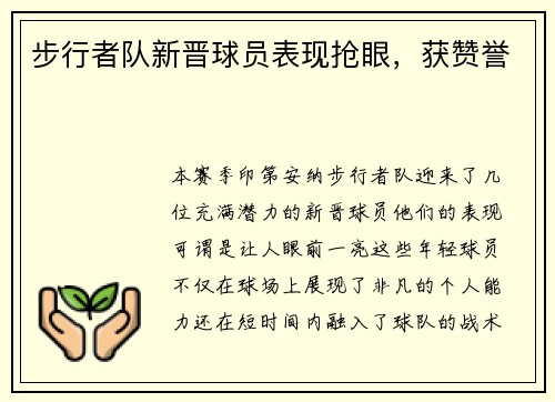 步行者队新晋球员表现抢眼，获赞誉