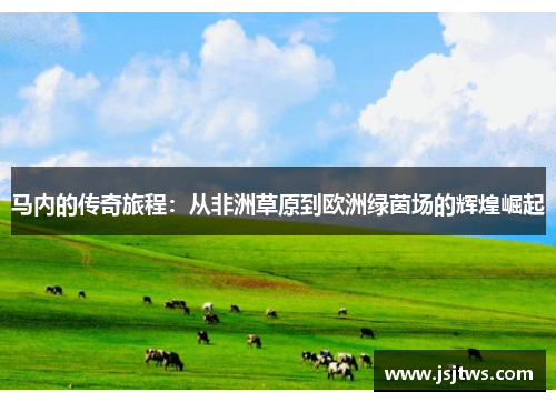 马内的传奇旅程：从非洲草原到欧洲绿茵场的辉煌崛起